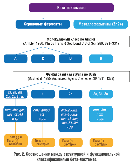 Что помогает понять диаграмма зарегистрированные антибиотики