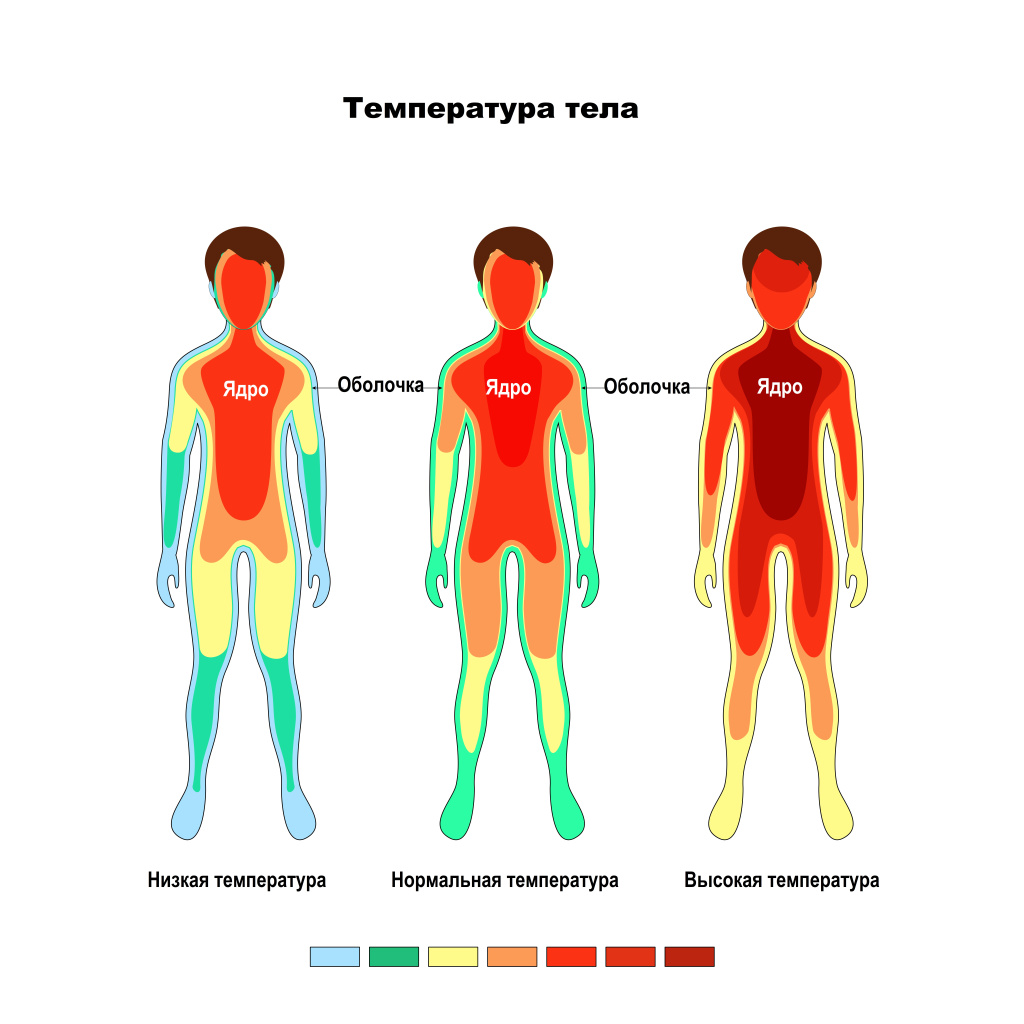 температура.jpg