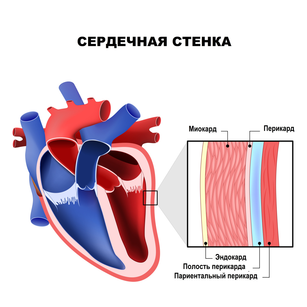 Режим модератора