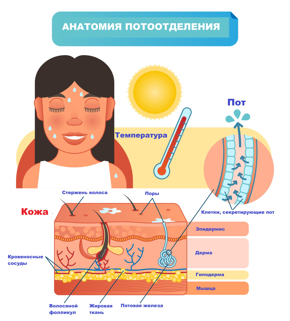 Ночная потливость