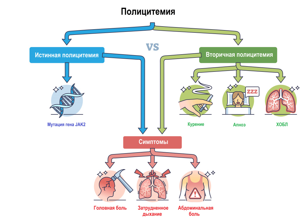 Полицитемия.jpg