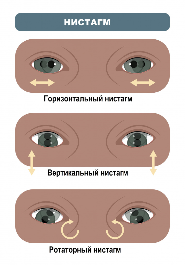 Как глаза управляют ушами