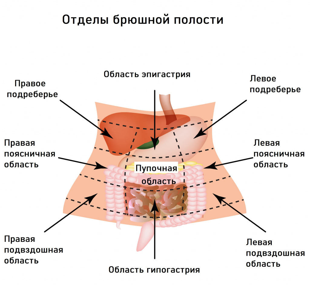 Лечение заболеваний жкт в Москве по выгодным ценам: записаться на прием в клинику Доктор Чой